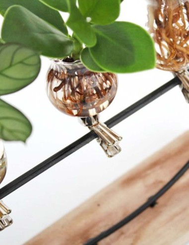 Mix piante verdi in ferro