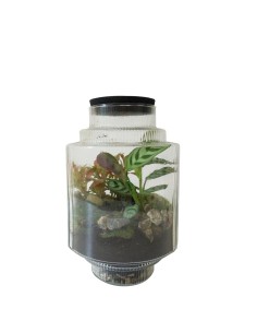 Terrario in vetro di design