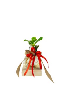 Clusia Sfera con led 2