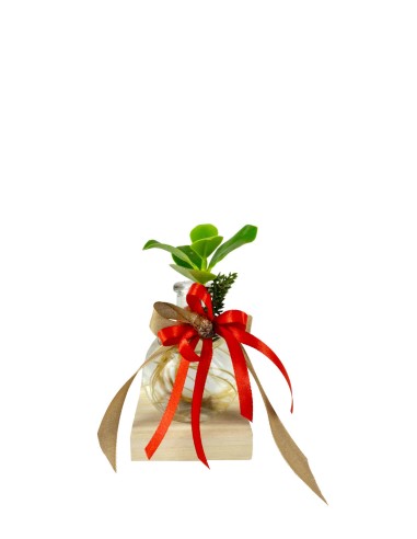 Clusia Sfera con led