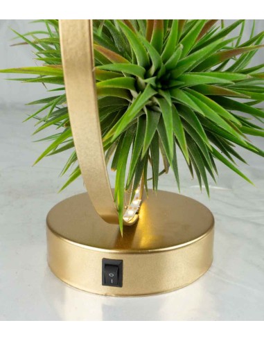 Tillandsia circolare led oro