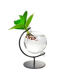 Clusia Sfera |Clusia Idro...