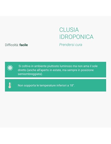 Clusia Sfera |Clusia Idro in vetro...