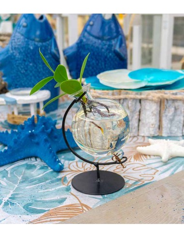 Clusia Sfera |Clusia Idro in vetro...