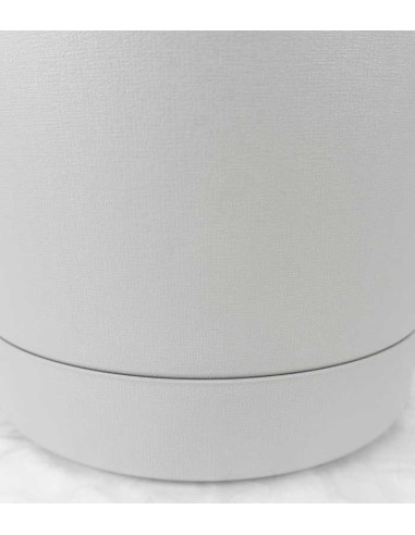 Filodendro Imperial Red palo