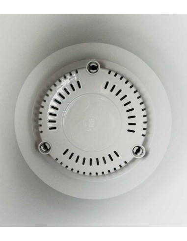 Filodendro Monkey Mask | Adansonii