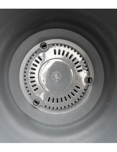 Schefflera variegata