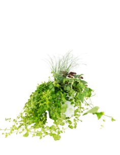 Tris inverno magico 01