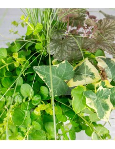 Tris inverno magico 01 2