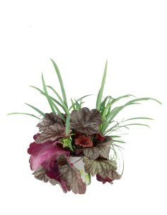 Tris inverno magico 01