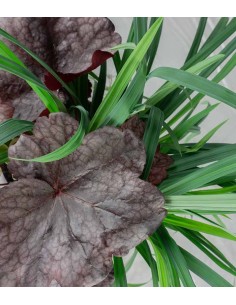 Tris inverno magico 01 2