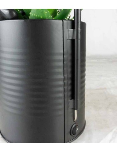 Composizione piante in vaso con lampada