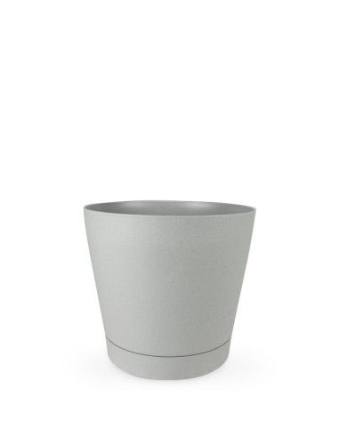 Pothos a Palo Alto da 90 cm