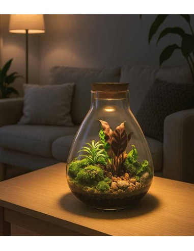 Terrario LED con mix di piante
