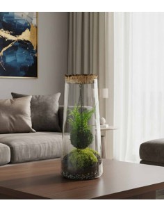 Kokedama in terrario 2