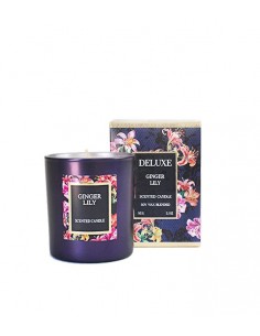 Candela profumata al ginger...