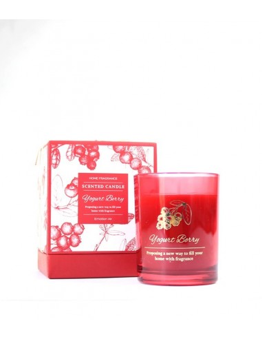 Candela profumata allo Yogurt e bacche