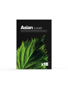 CAPSULE 18X Asian Lover