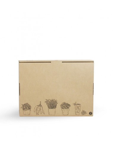 Echeverie Color tris