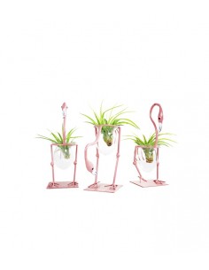 Fenicotteri rosa con...