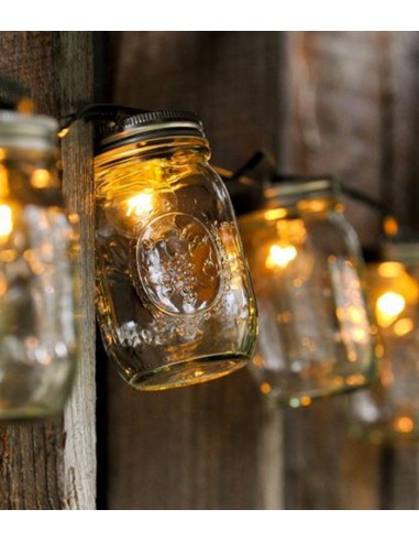 Filo di luci con vasetti