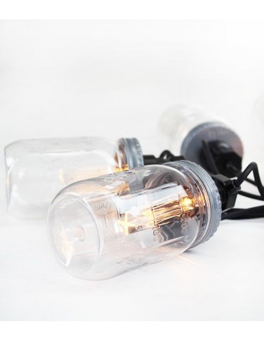 Filo di luci con vasetti