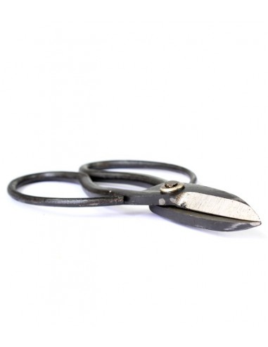 Forbici multiuso grandi