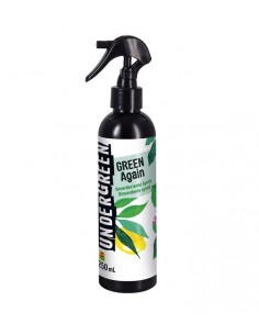 Green Again - Rinverdente...