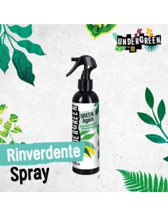 Green Again - Rinverdente... 2