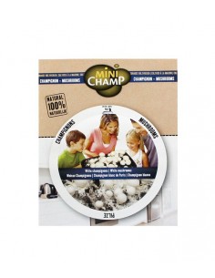 Kit fungo champignons