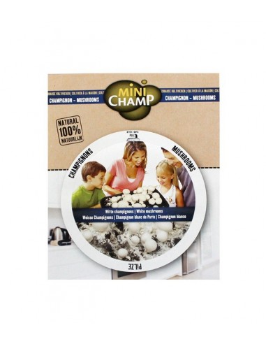 Kit fungo champignons