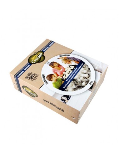 Kit fungo champignons