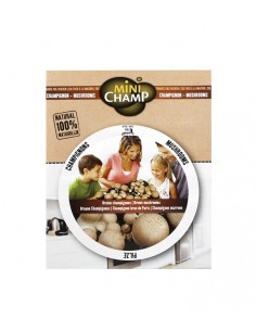 Kit fungo champignons marrone