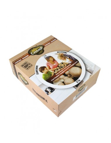 Kit fungo champignons marrone