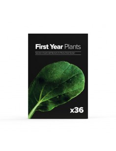 Kit Primo Anno Capsule PLANTUI