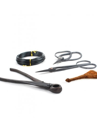 Kit utensili bonsai