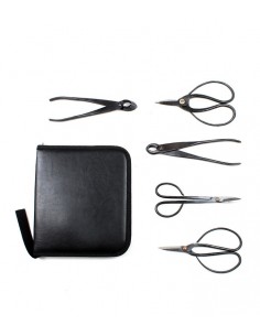 Kit utensili bonsai con...