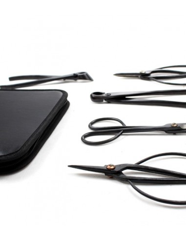Kit utensili bonsai con astuccio