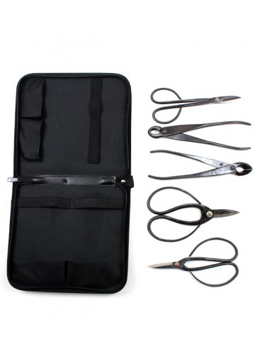 Kit utensili bonsai con astuccio