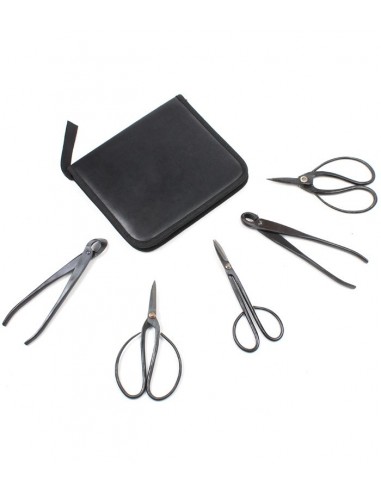 Kit utensili bonsai con astuccio