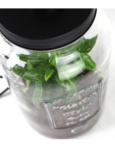 Lampada con pianta di caffè