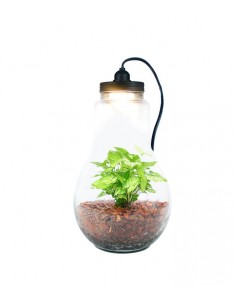 Lampada XL in vetro con...