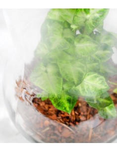 Lampada XL in vetro con... 2