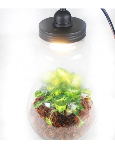 Lampada XL in vetro con Singonio