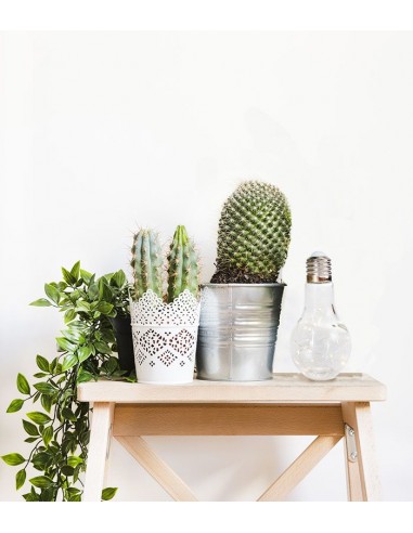 Lampadina in vetro con led