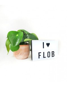 Lightbox con lettere 2