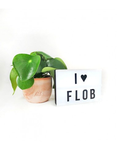 Lightbox con lettere