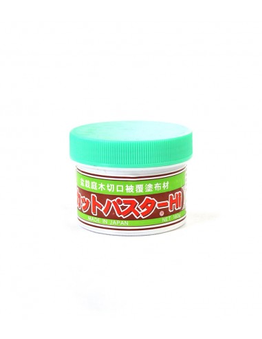 Mastice Verde Giapponese