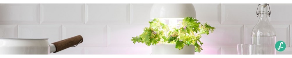 Plantui, il miglior Smart garden per creare il tuo orto in casa!