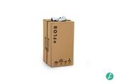 Olmo bonsai  M